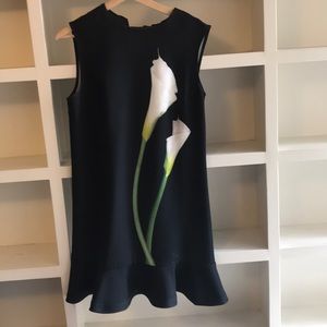 Victoria Beckham dress